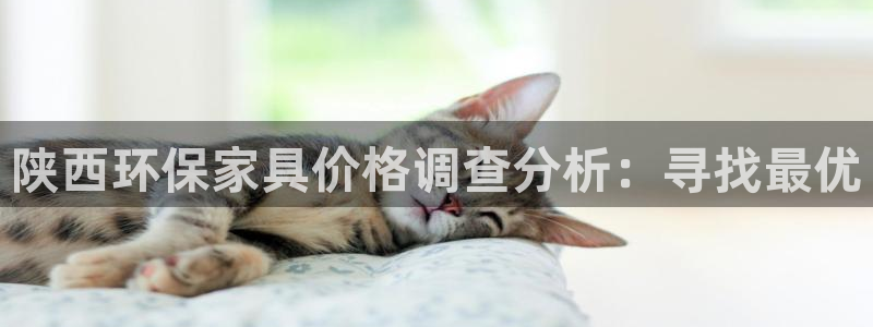 沐鸣怎么注册：陕西环保家具价格调查分析：寻找最优