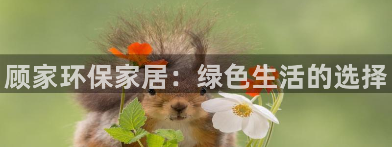 沐鸣平台开户：顾家环保家居：绿色生活的选择