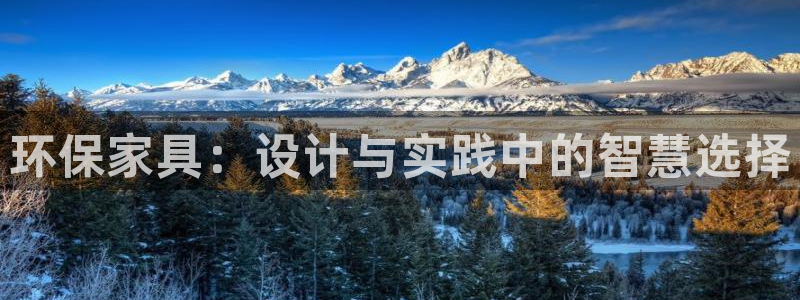 沐鸣总代：环保家具：设计与实践中的智慧选择