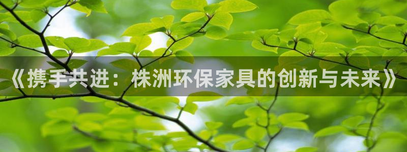 沐鸣平台注册地址：《携手共进：株洲环保家具的创新与未来》