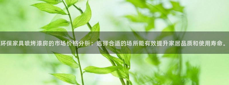 沐鸣官网网站：环保家具喷烤漆房的市场价格分析：选择合适的场所