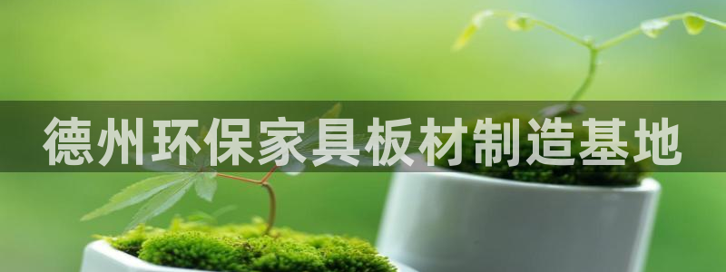 沐鸣平台首页登录：德州环保家具板材制造基地