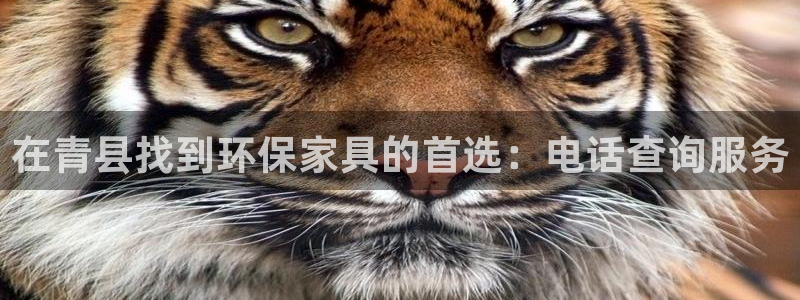 沐鸣平台服务中心电话号码：在青县找到环保家具的首选：电话查询